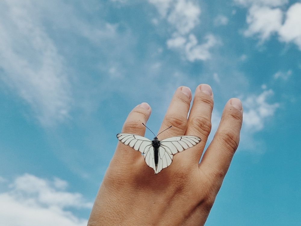 Photograph by Юлия Звонарева