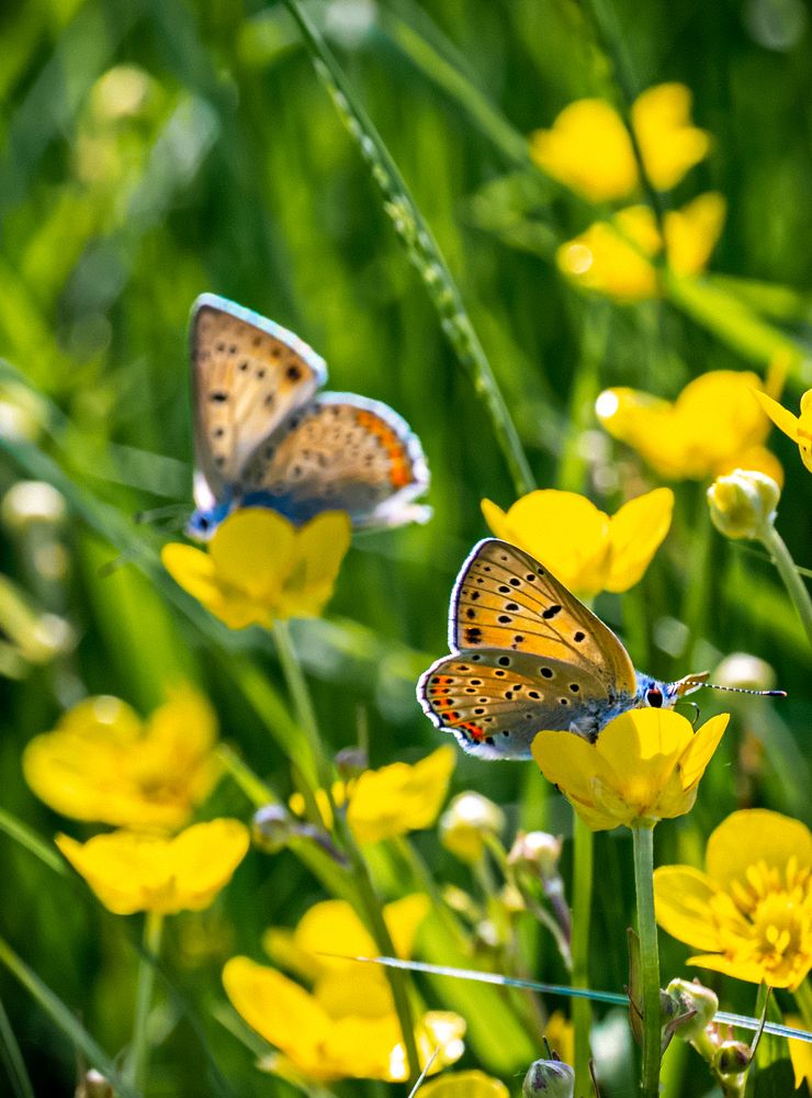 Photograph by Владимир Коновалов