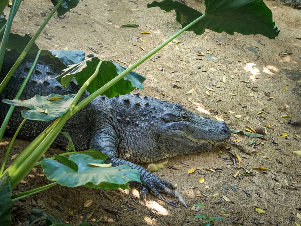 Photograph by Наталья Кокорина