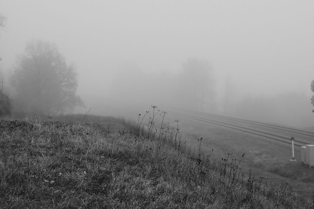 Photograph by Наталья Липко