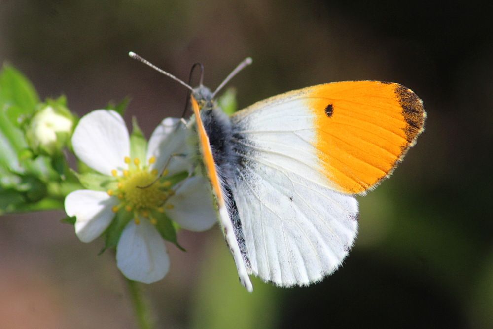 Photograph by Николай Николаевич Леухин