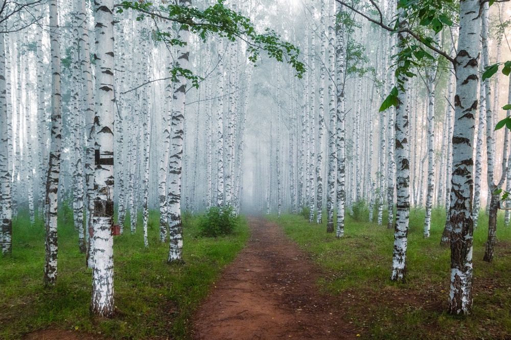 Photograph by Андрей Малыгин