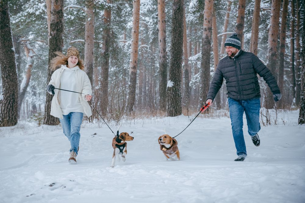 Photograph by Андрей Малыгин