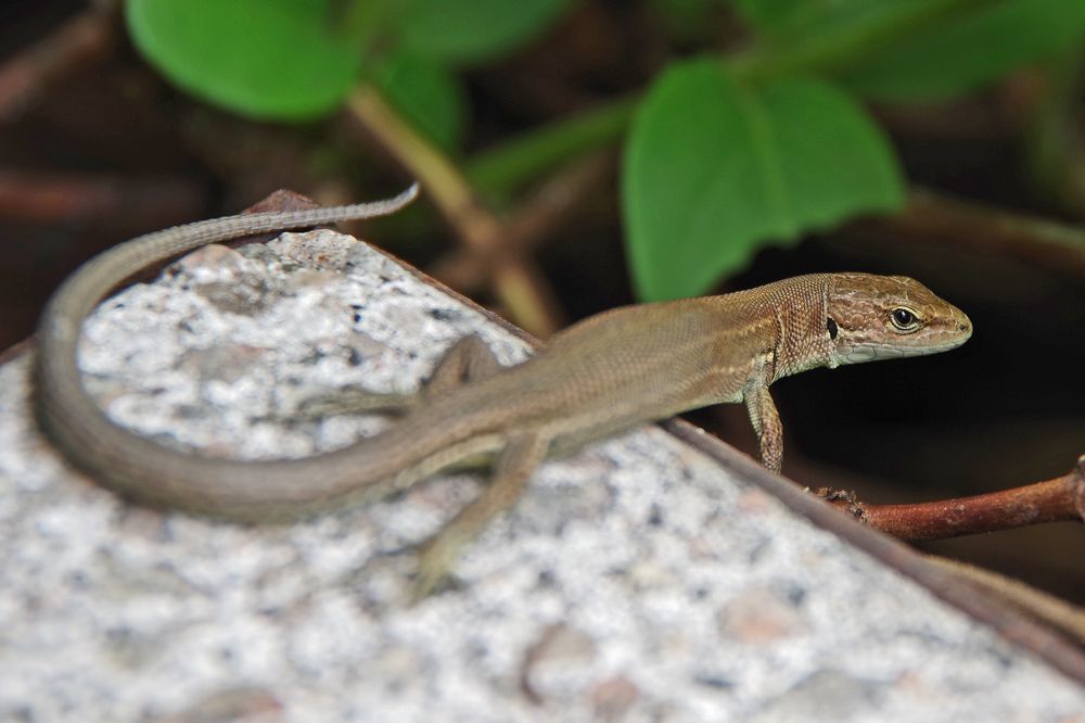 Photograph by Елена Щитова