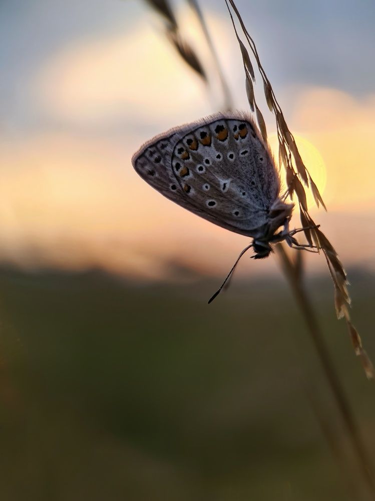 Photograph by Светлана Смирнова