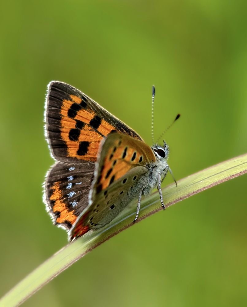 Photograph by Manuel Soto