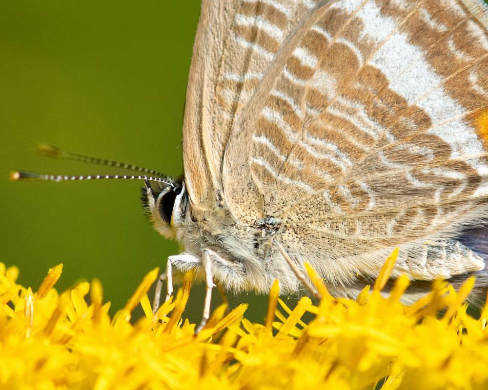 Photograph by Manuel Soto