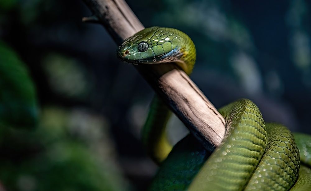 Photograph by Sergey Puponin