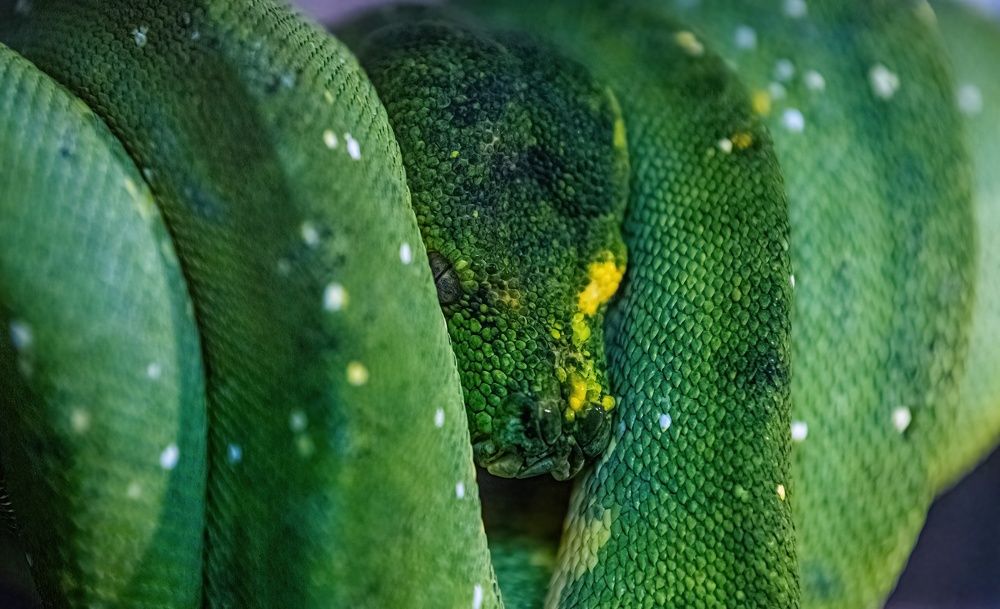 Photograph by Sergey Puponin