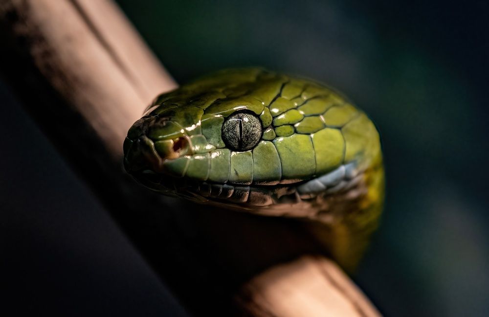 Photograph by Sergey Puponin