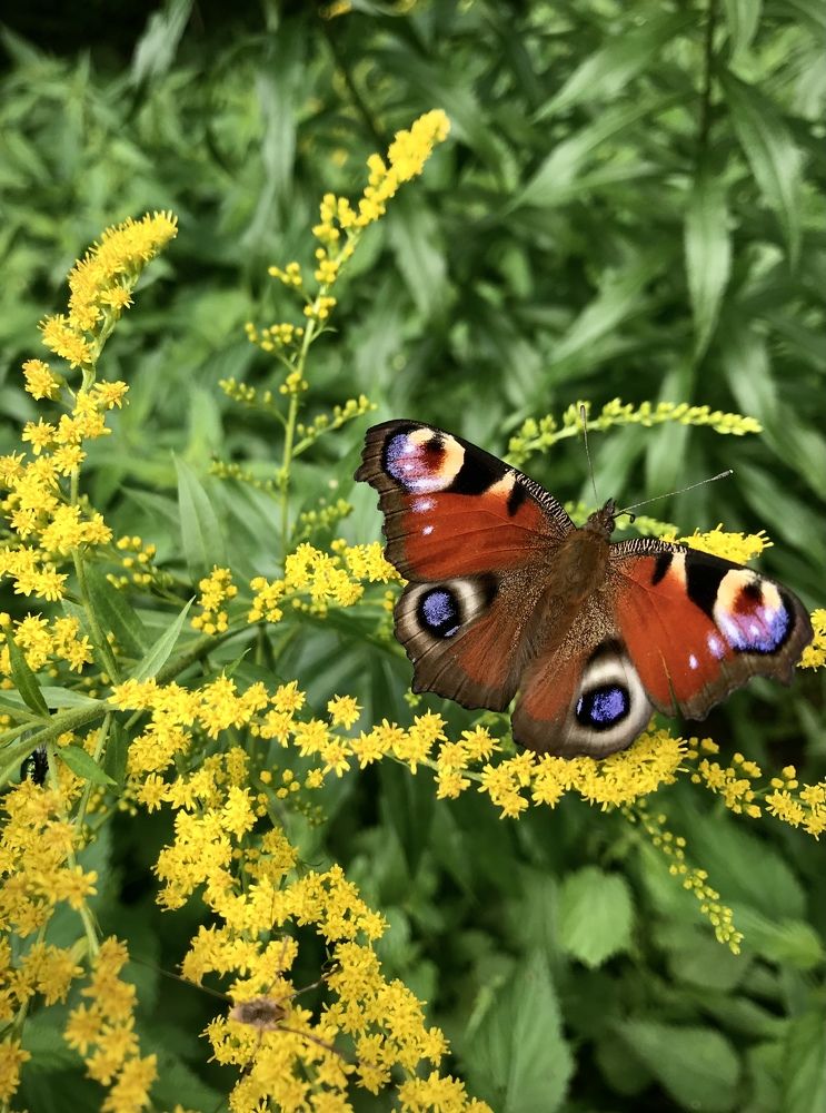 Photograph by Михаил Некрасов