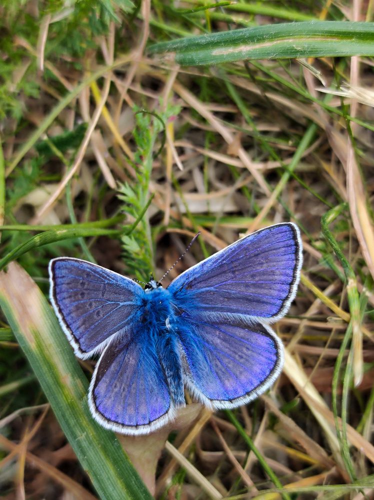 Photograph by Deiltora