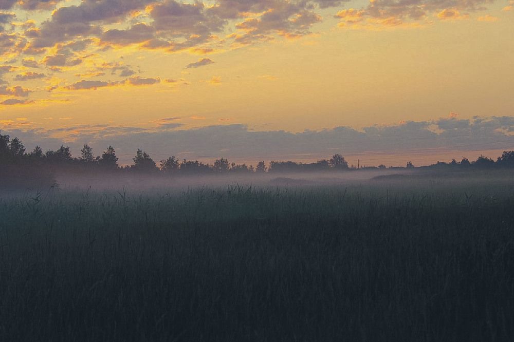 Photograph by Андрей Астафьев