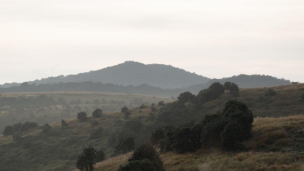 Photograph by SAMAN HALLOLUWA