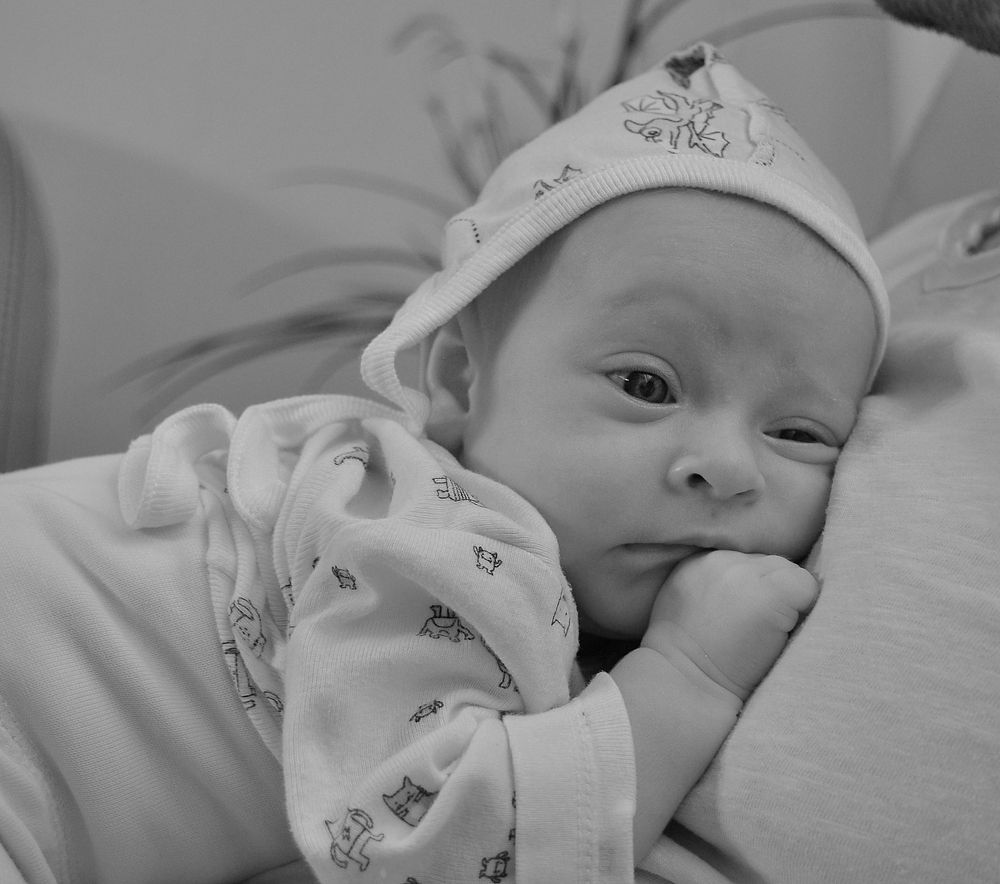 Photograph by Яков