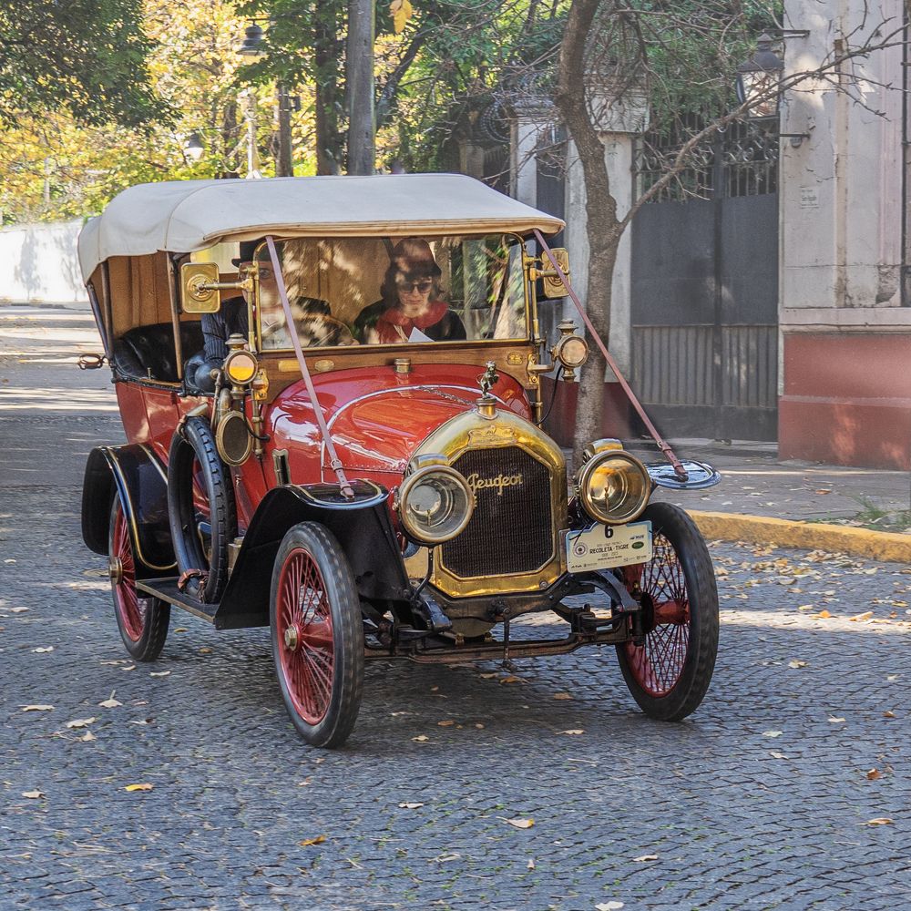 Фотография автора Carlos Gianoli