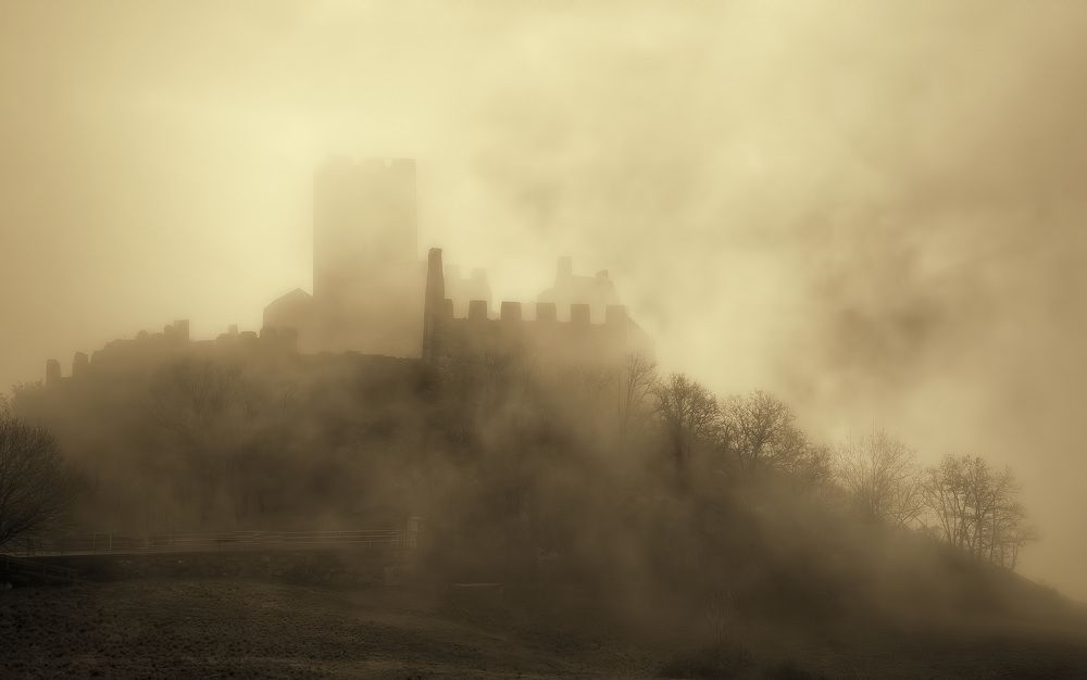 Photograph by Svetlana Rizzo