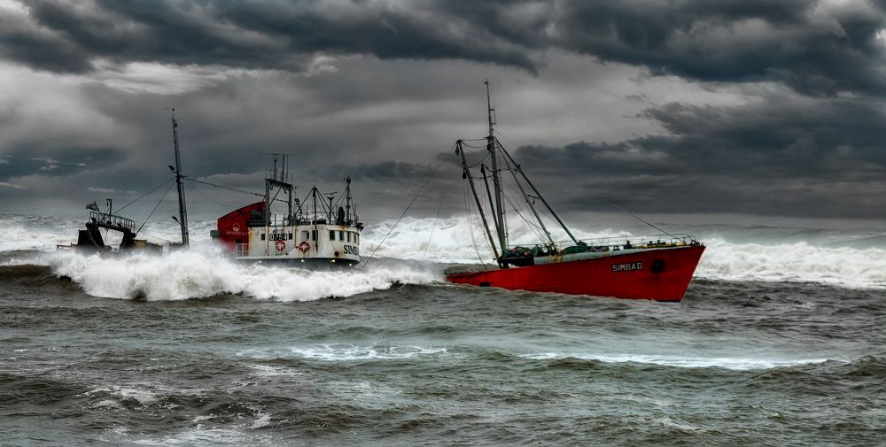 Фотография автора Carlos Gianoli