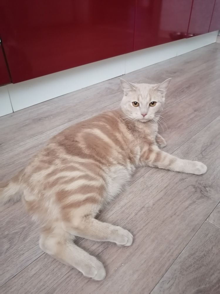 Photograph by Иващенко Юлия