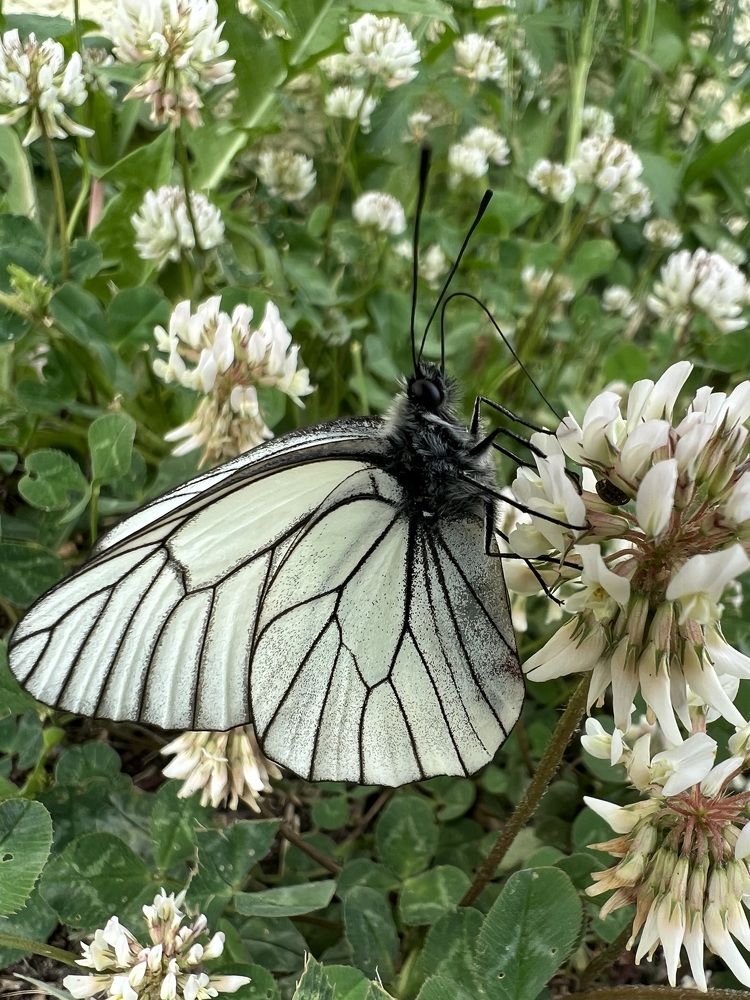 Photograph by Елена Змейкова