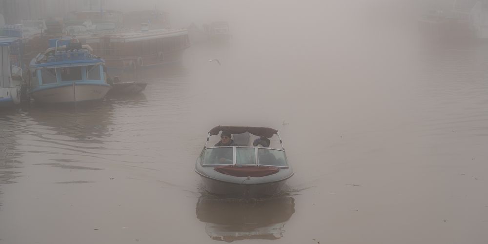 Фотография автора Carlos Gianoli