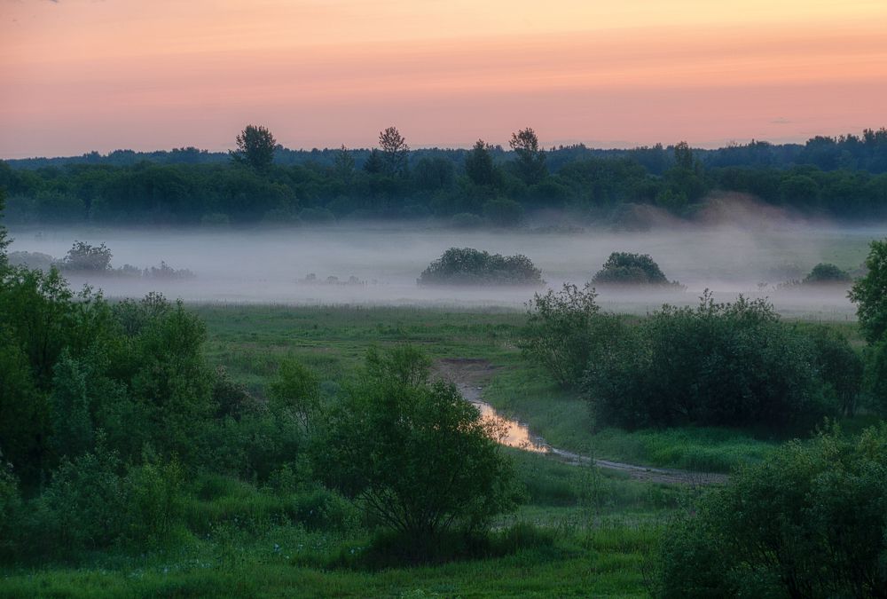 Photograph by Светлана Ващенко
