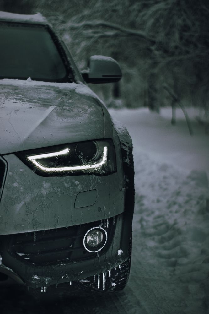 Фотография автора Анна Мисякова