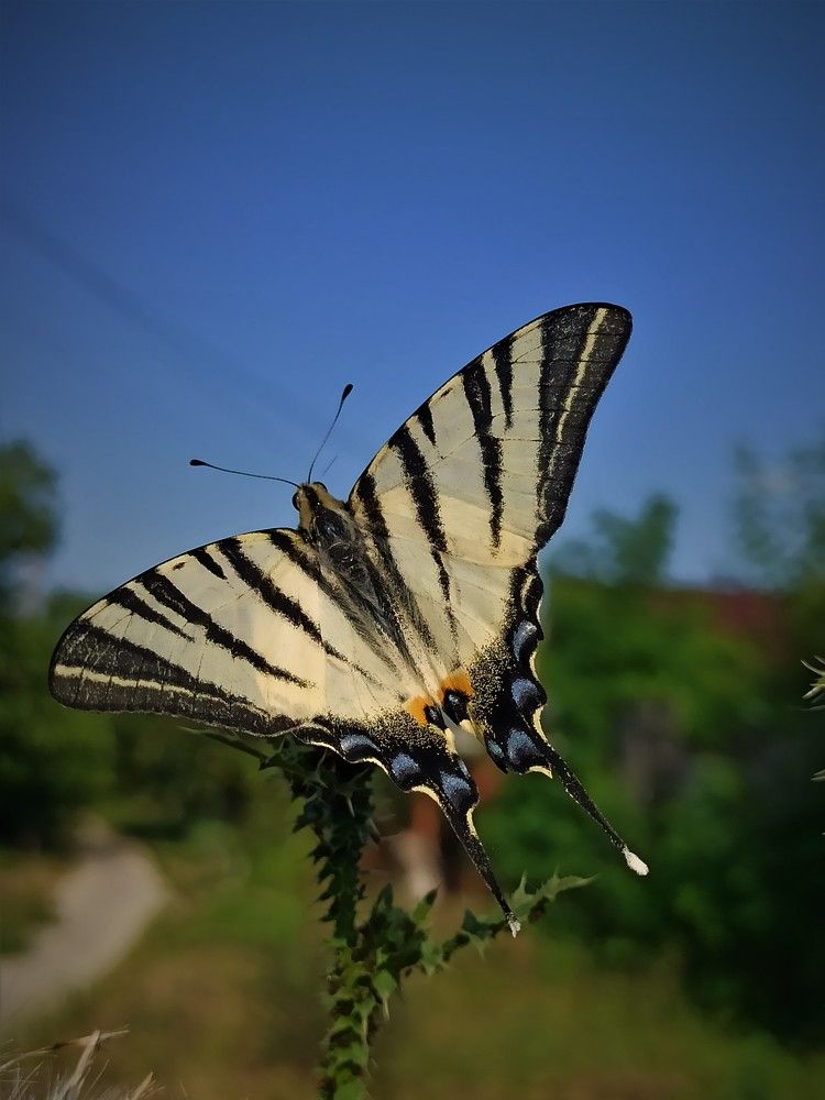 Photograph by Татьяна Долгушева
