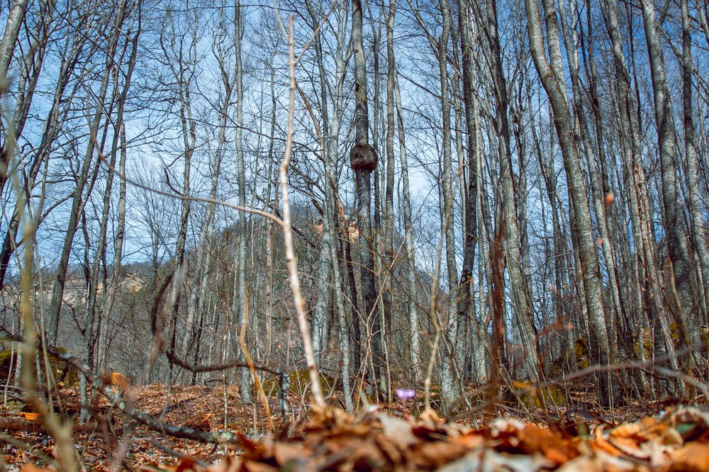 Фотография автора OXANA MARSOVA