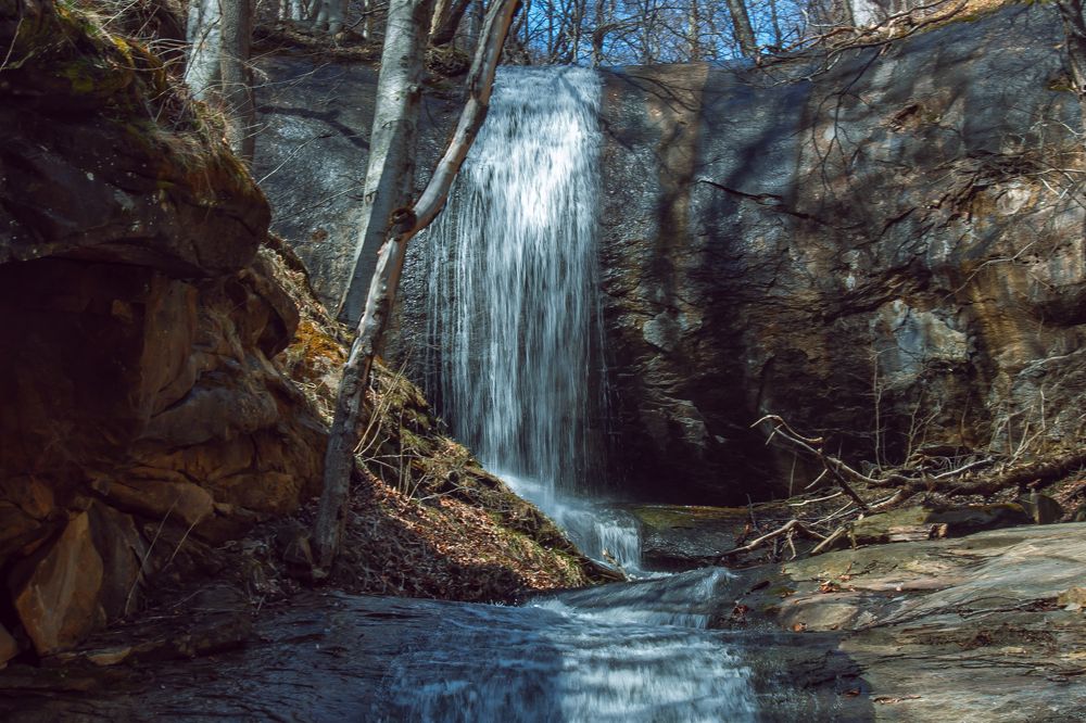 Фотография автора OXANA MARSOVA