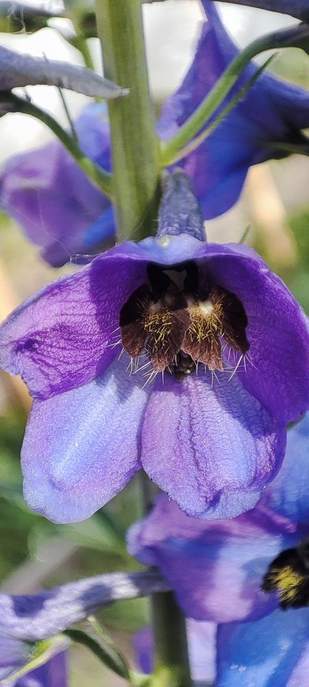 Photograph by Светлана Батурова