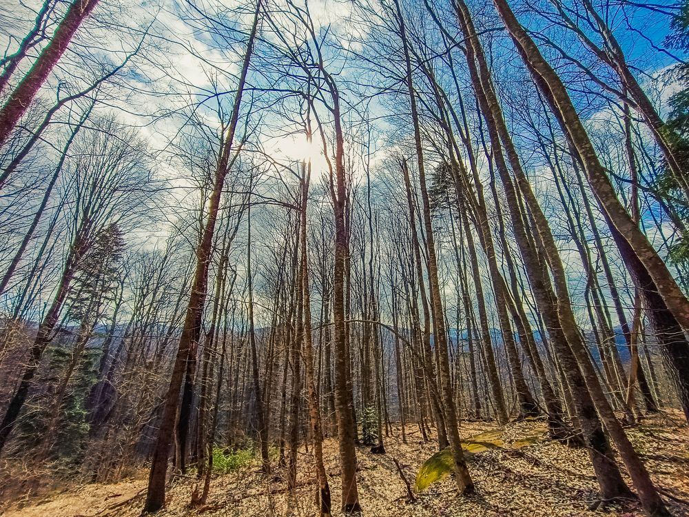 Photograph by OXANA NAUMOVA