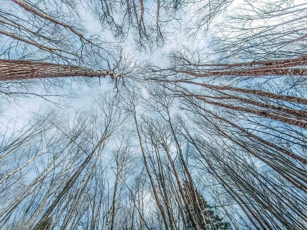 Фотография автора OXANA MARSOVA