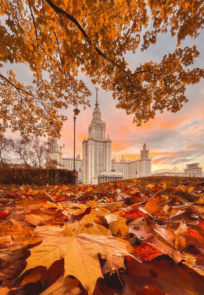 Фотография автора Мазурева Анастасия