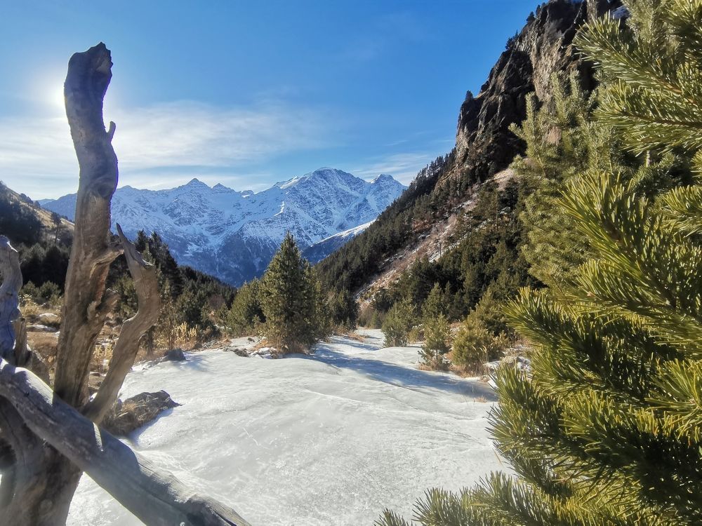 Фотография автора OXANA MARSOVA