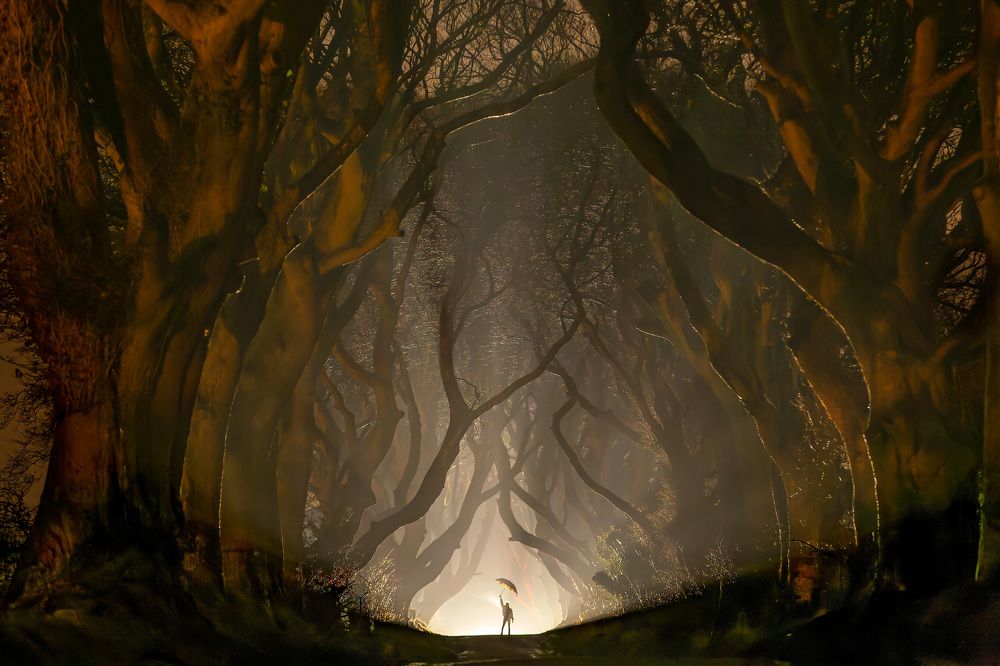 Тёмная аллея