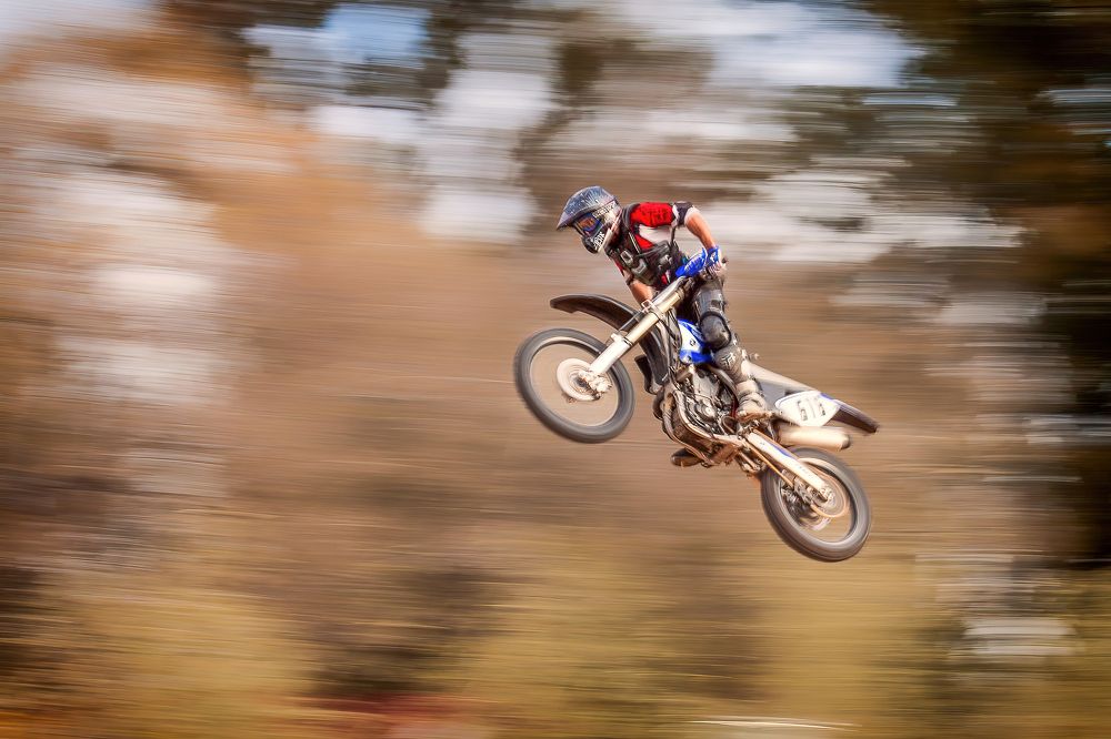 Фотография автора Carlos Gianoli