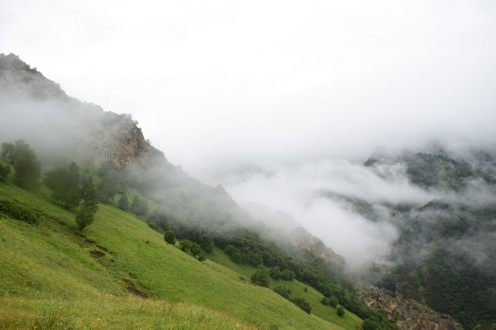 Photograph by Анастасия Гогичаишвили