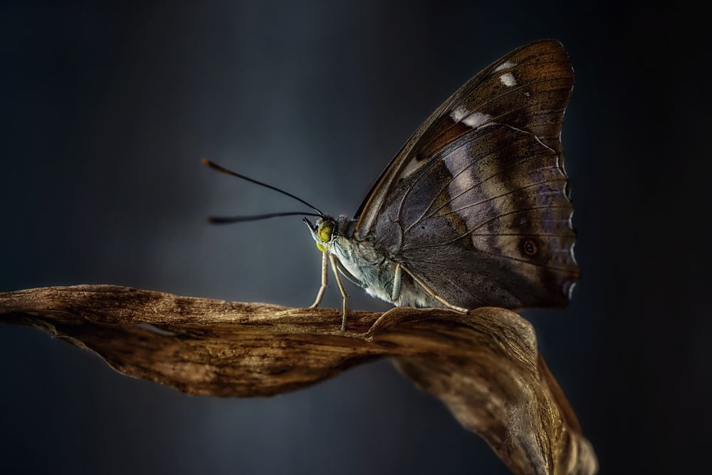 Photograph by Анастасия Думинская