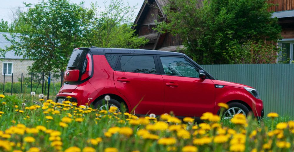 Фотография автора Виталий Дузь