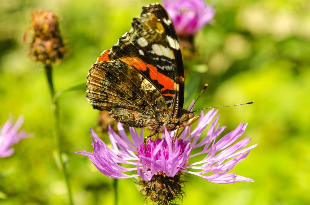 Photograph by Евгений Каримов