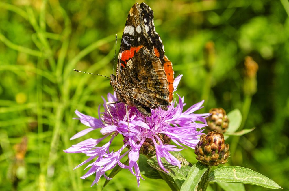 Photograph by Евгений Каримов
