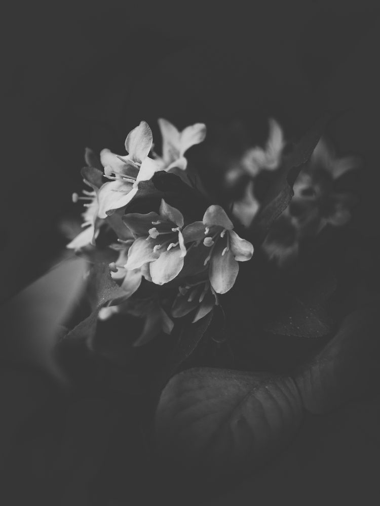 Фотография автора Анна Мисякова