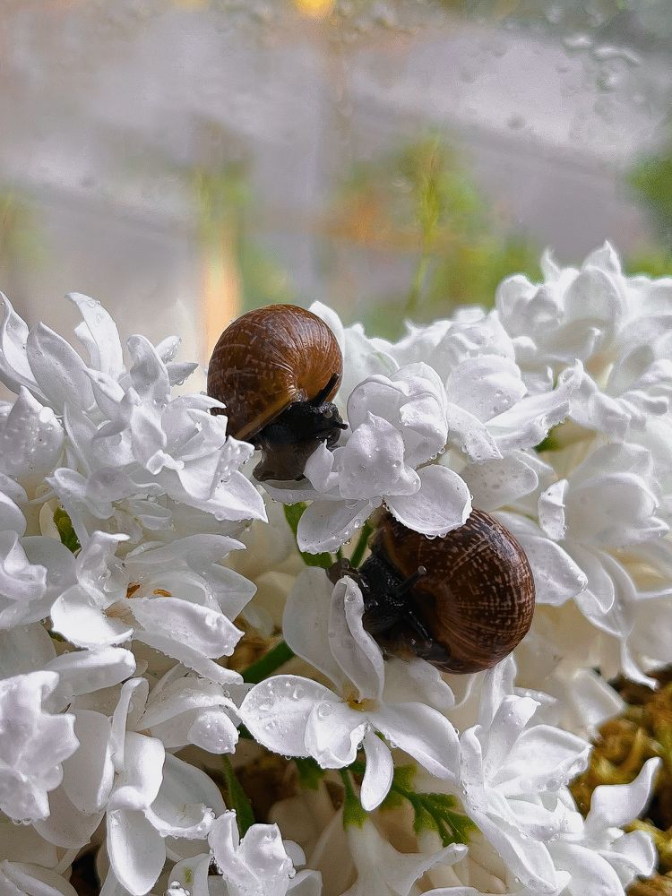 Photograph by Нестерова Карина