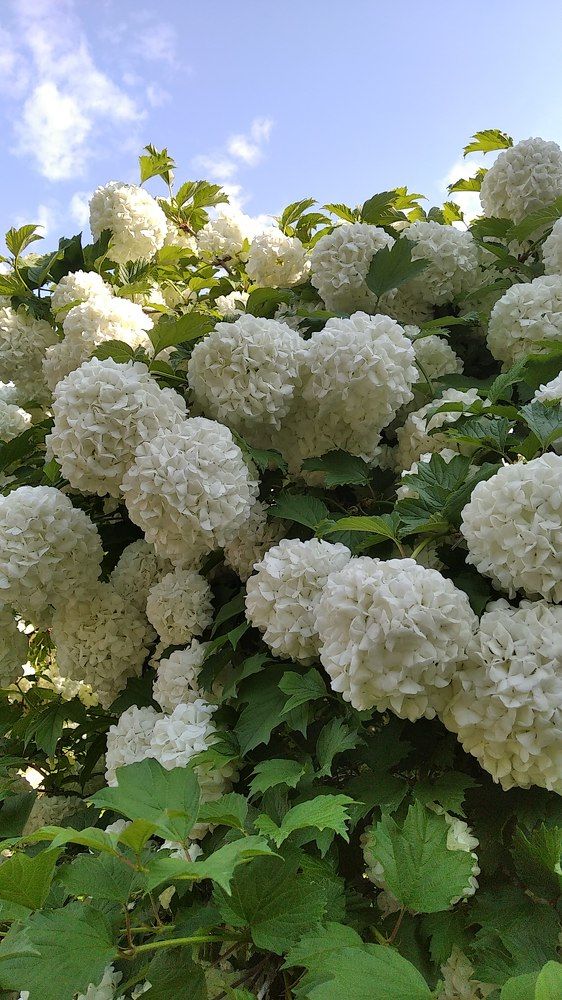 Photograph by Анна Виноградова