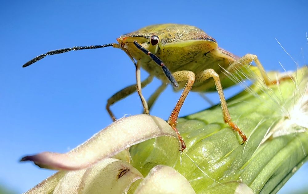 Photograph by Анна