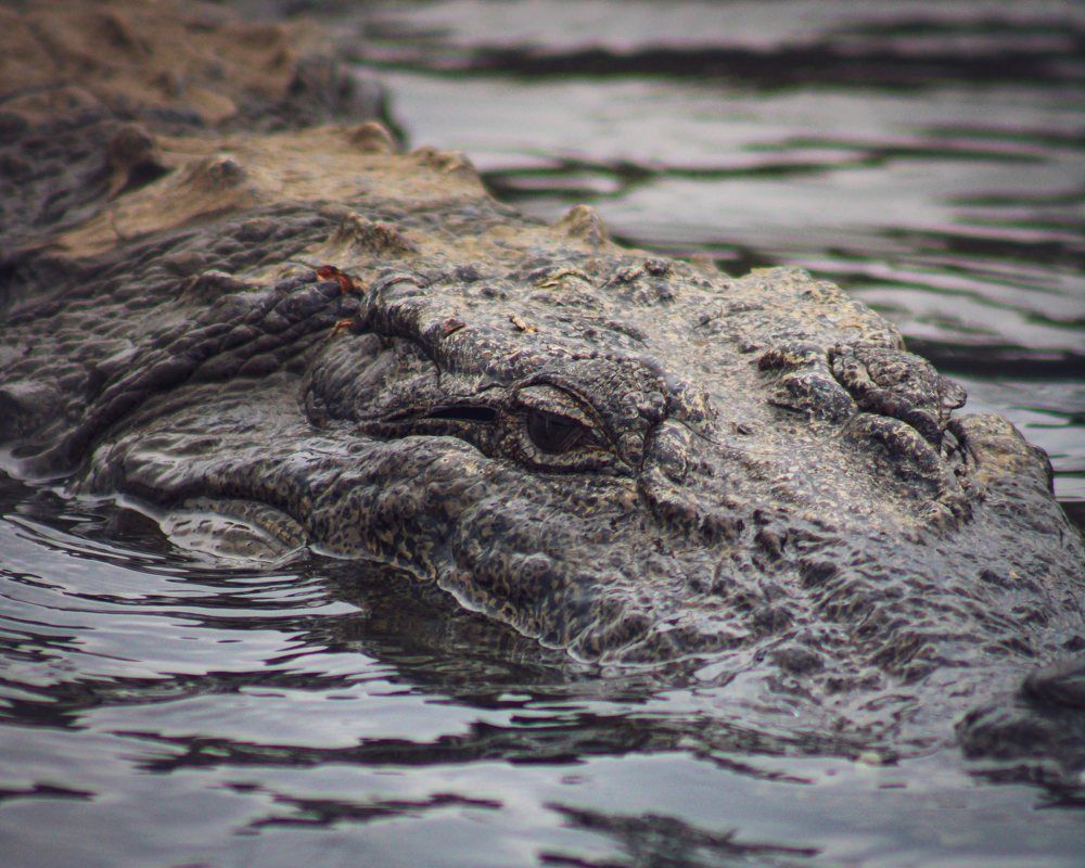 Photograph by Sahitya Murali