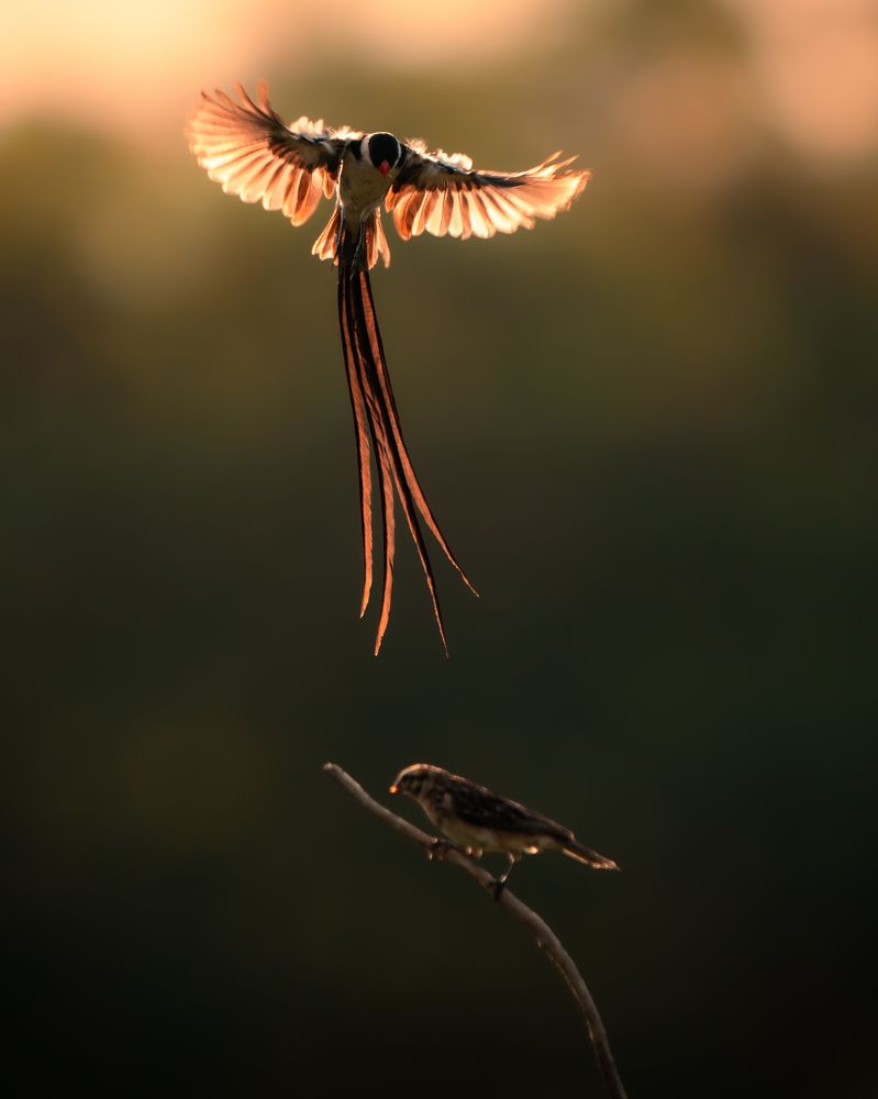 Photograph by Zhi Heng Lee