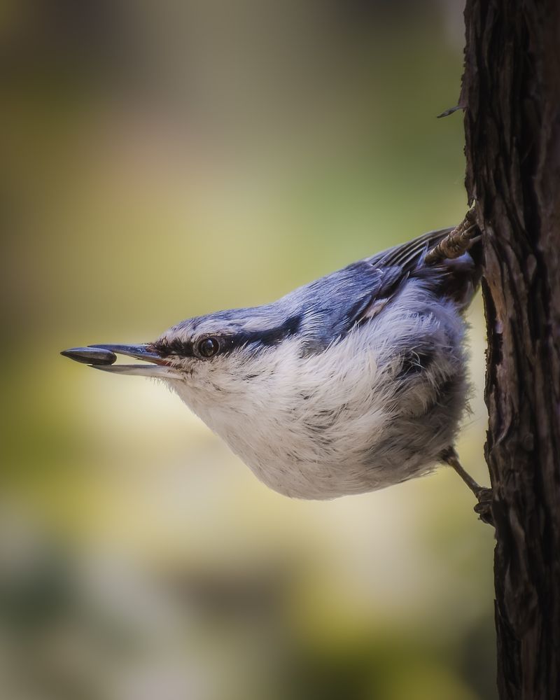 Photograph by Сергей Егоров
