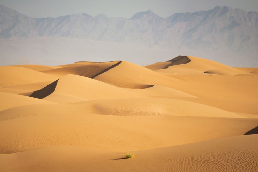 Photograph by Noelia